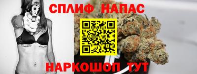 сатива Бузулук