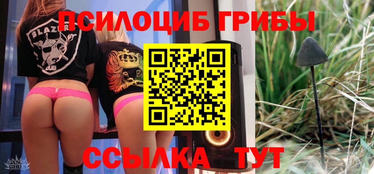 Ленинск-Кузнецкий  Галлюциногенные грибы Cubensis  Вход с VPN 